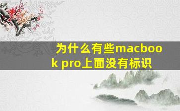 为什么有些macbook pro上面没有标识